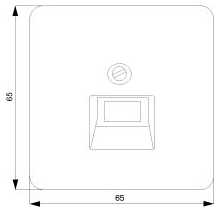 DELTA profil krycí deska pro UAE zásuvku, pro jednoduchou a dvojitou, titanová bílá