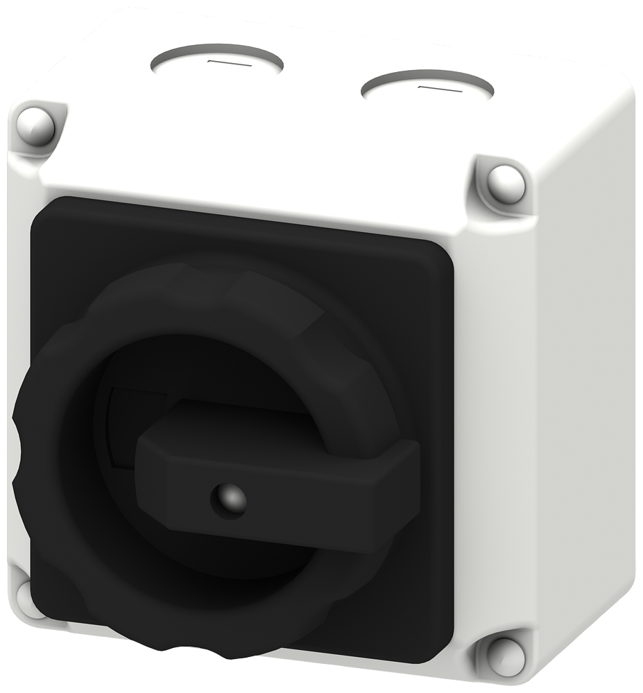 Spínací přístroj, 2pól., 16A, zapouzdření izolačním materiálem s ovládací páčkou, příslušenství