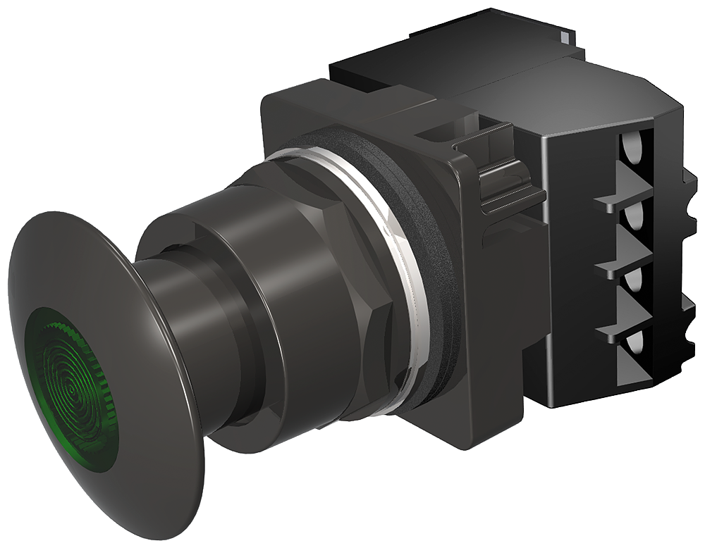 PP2,NEMA4X,MTD,FV 24V,BLK-GRN,1NO-1NC