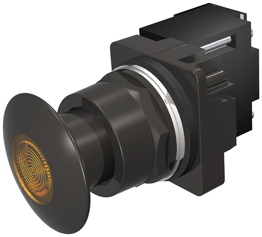 PP2,NEMA4X,MTD,FV 6V,BLK-AMB,LED BULB