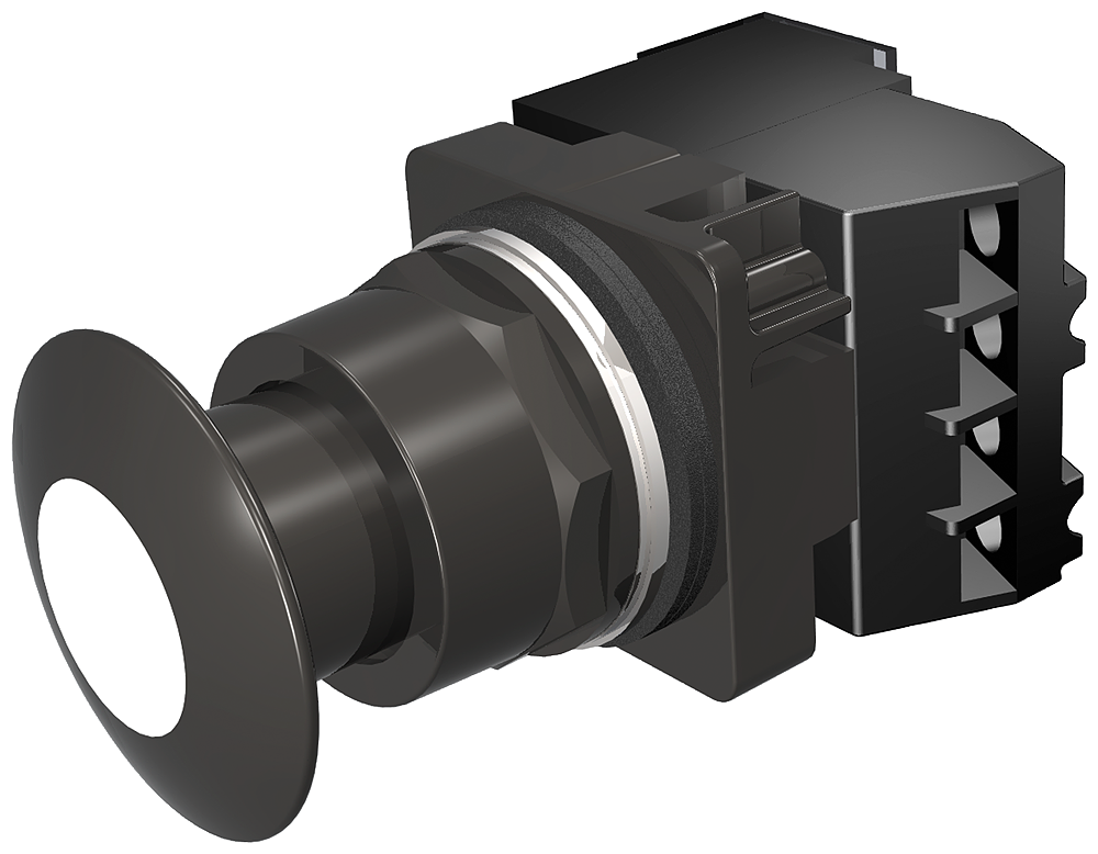 PP2,NEMA4X,MTD,XFMR 240V,BLK-WHT,1NO-1NC
