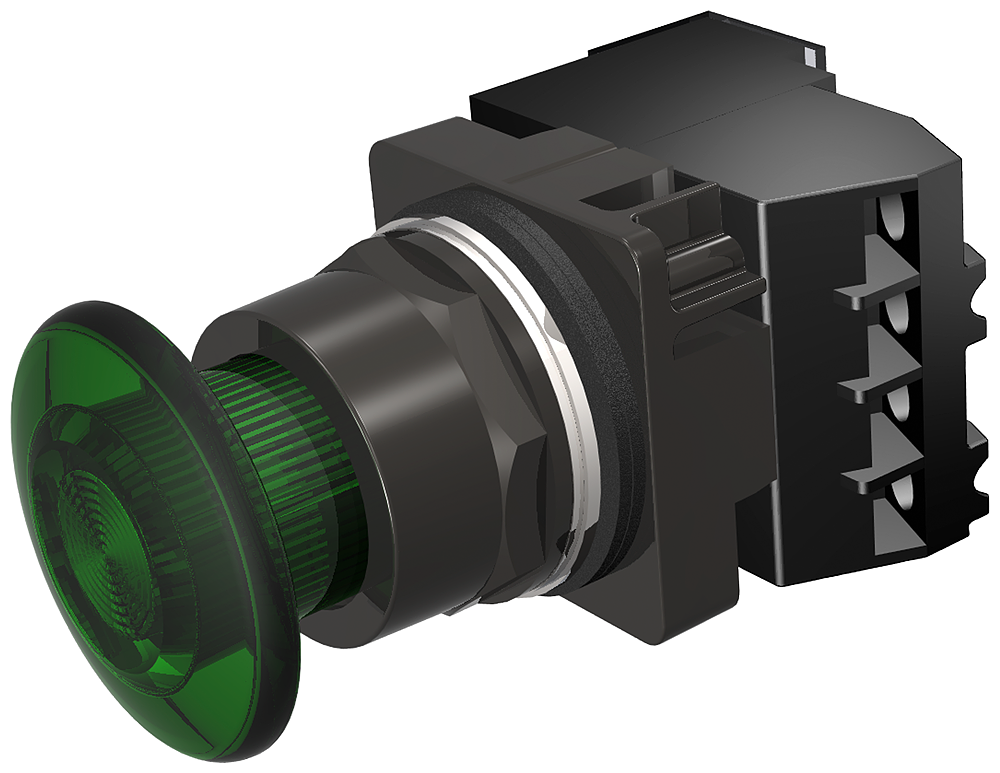 PP2,4X,MTD,FV 120V,FULL GRN,NO-NC,LED