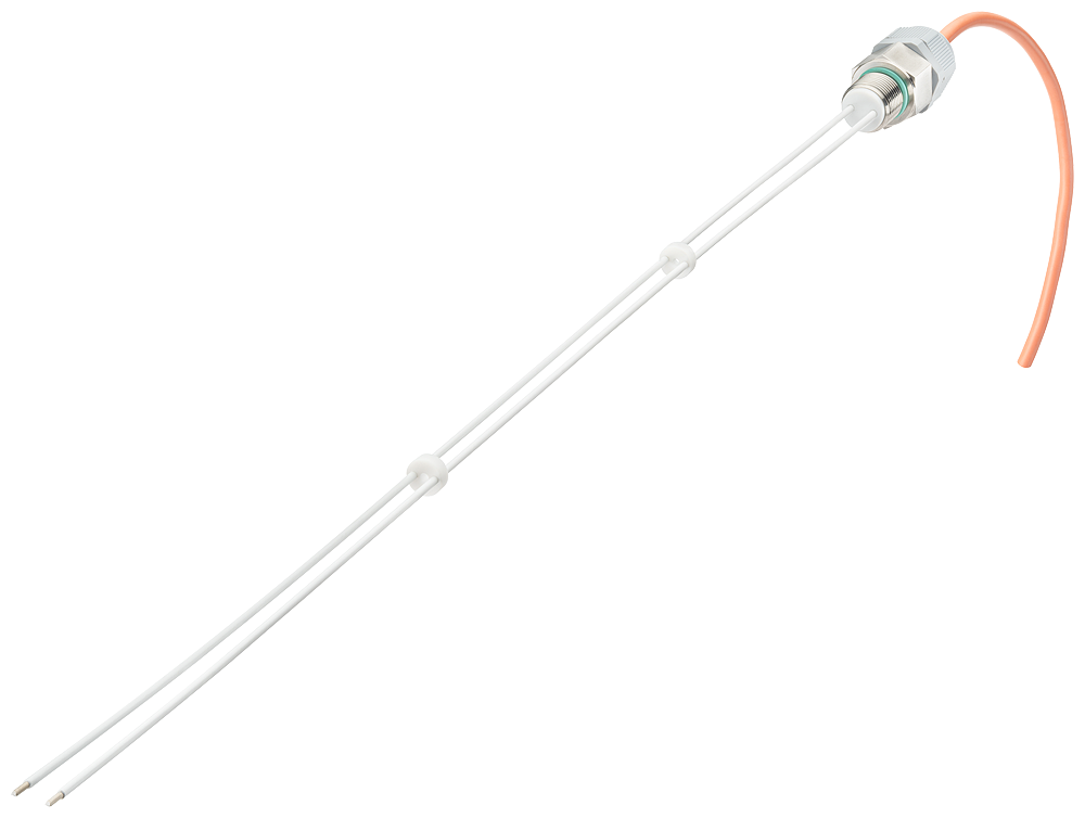 2-pole wire electrode for level monitoring 500 mm long with Teflon insulation by Siemens