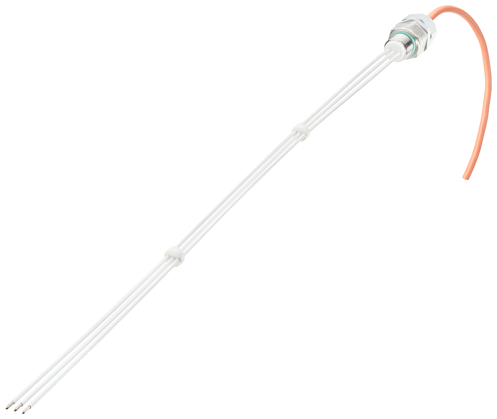 3-pole wire electrode for level monitoring 500 mm long with Teflon insulation by Siemens